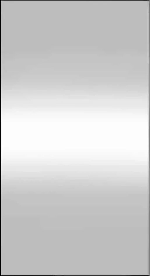 vidaXL Oglindă de perete, 50x100 cm, dreptunghiular, sticlă