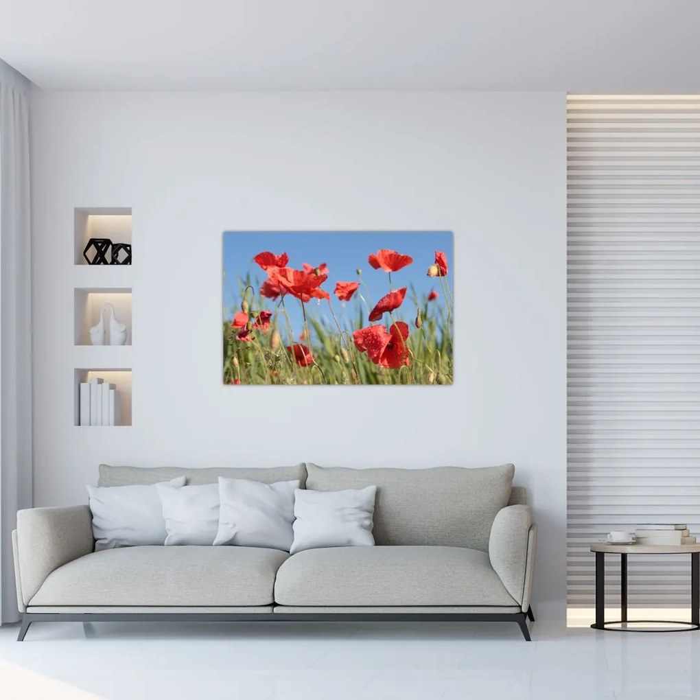 Tablou - Maci (90x60 cm)