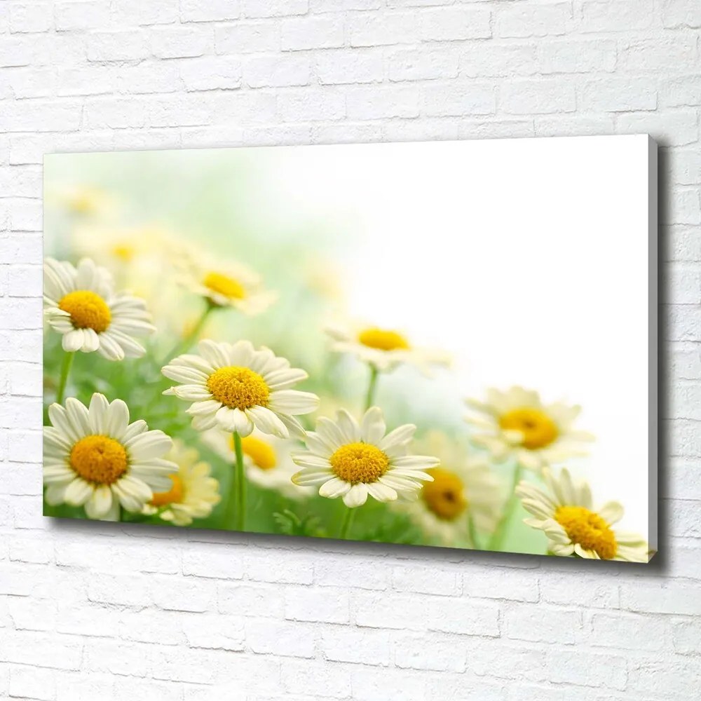 Tablou canvas Margarete