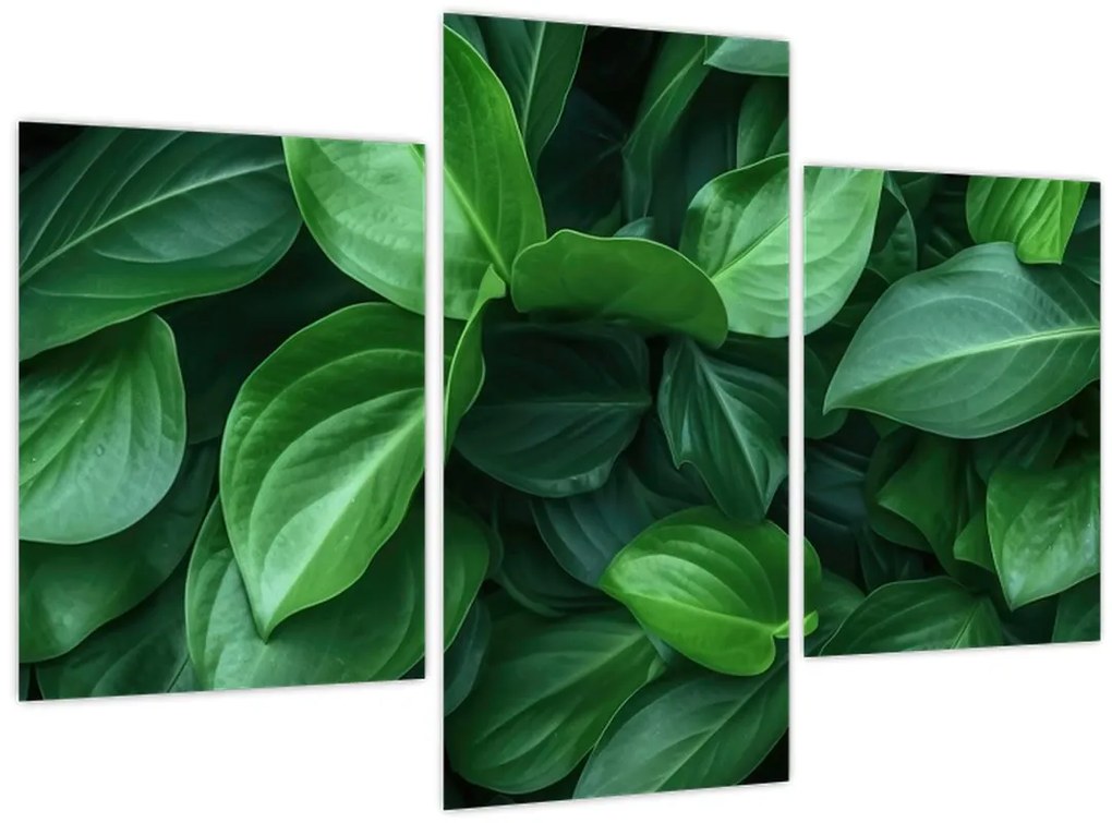 Tablou - Frunze verzi (90x60 cm)