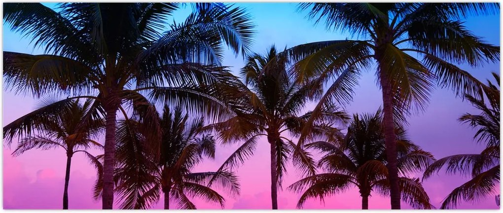 Tablou - Palmieri din Miami (120x50 cm)