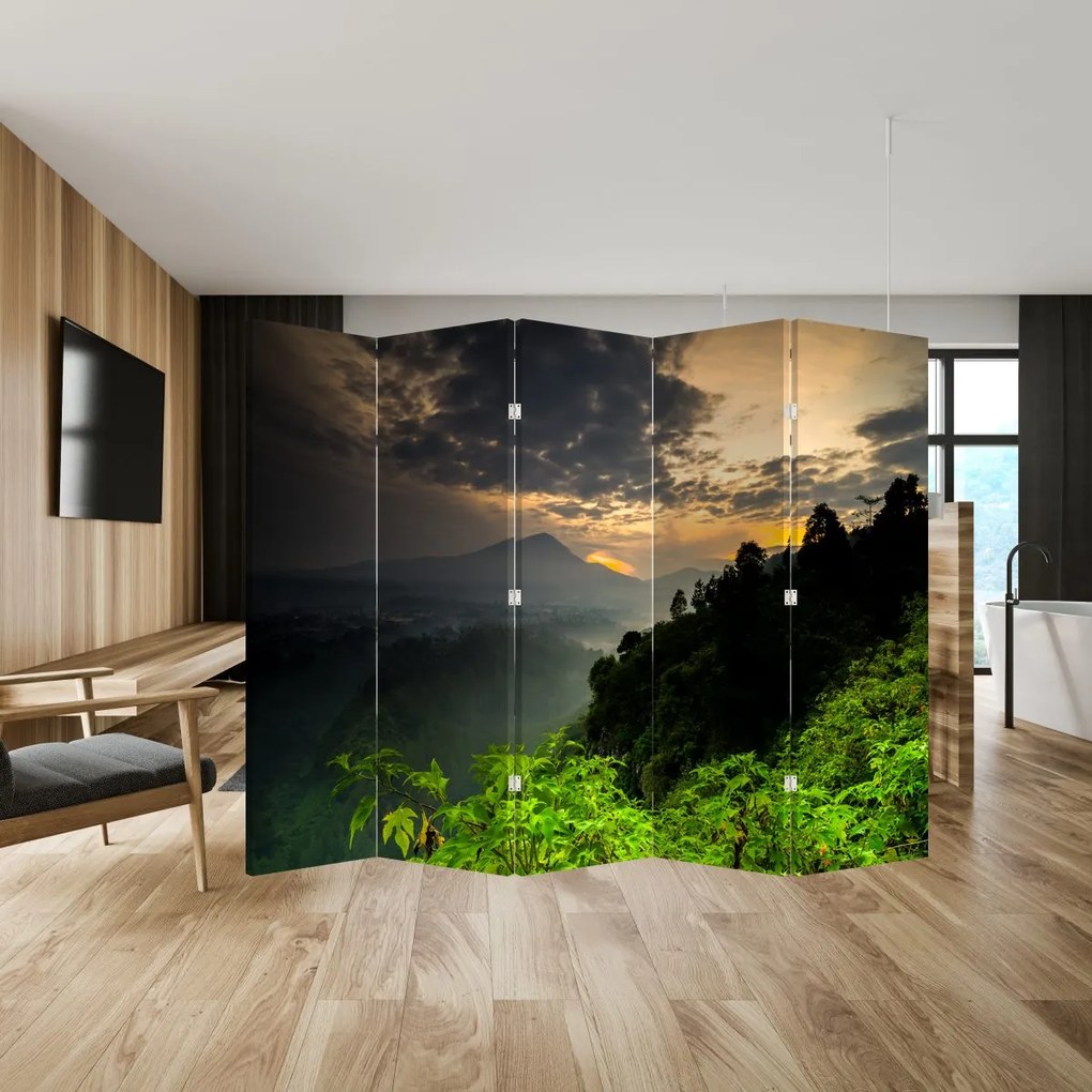 Paravan - Peisaj montan verde (210x170 cm)