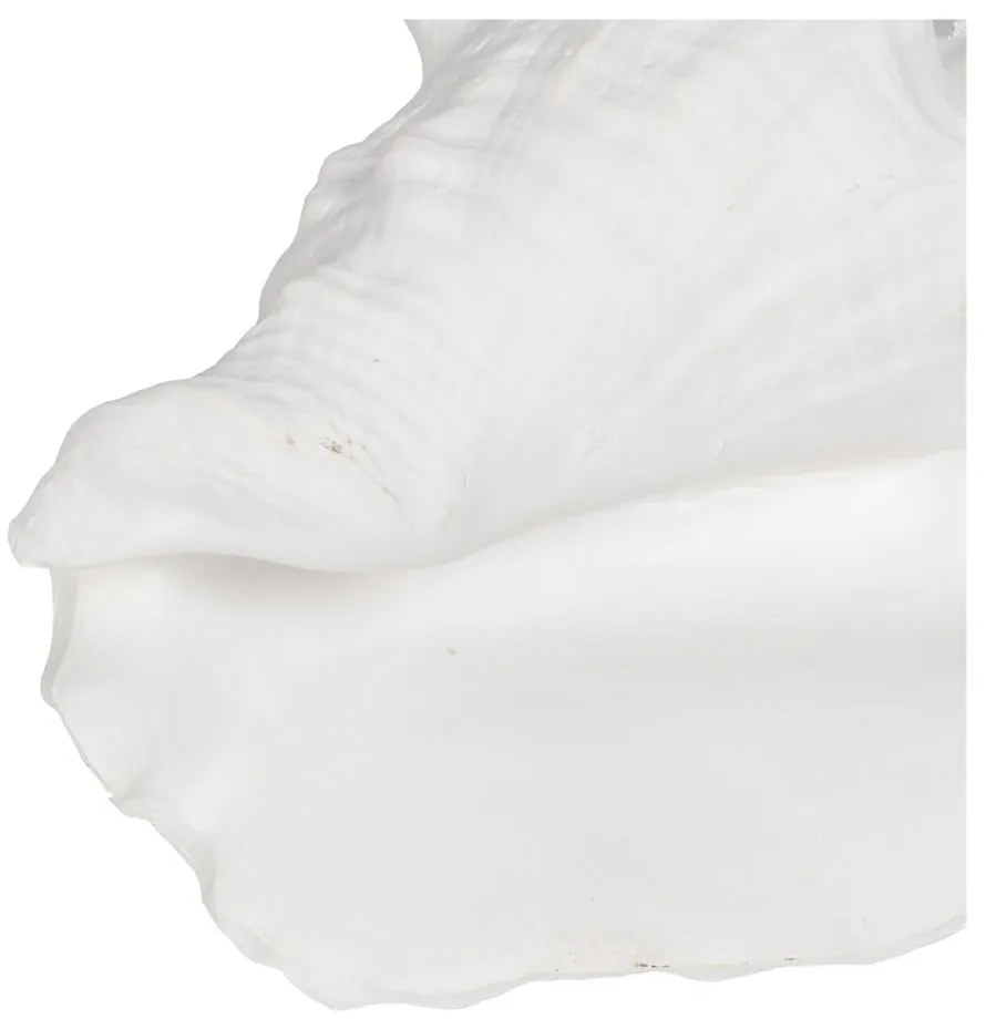 Statuetă din polirășină (înălțime 13 cm) Seashell – Ixia