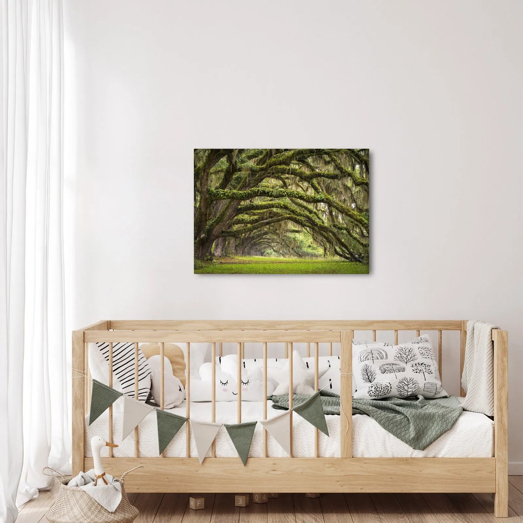 Tablou - Oaks Avenue, Charleston, Carolina de Sud, SUA (70x50 cm)