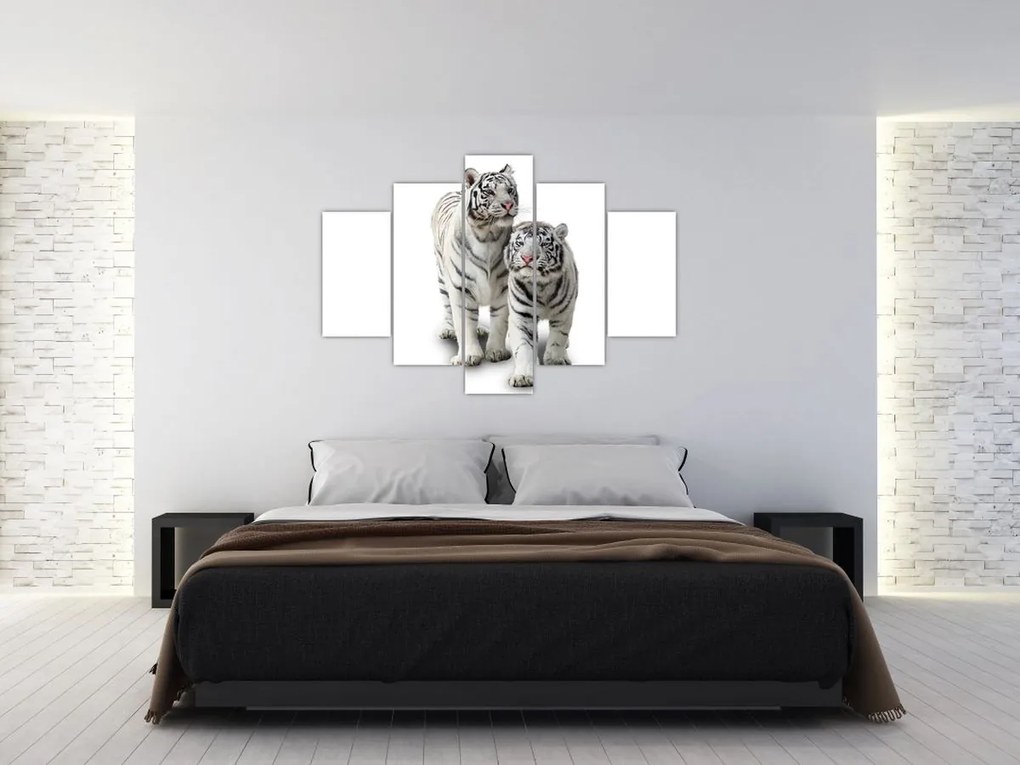Tablou - Tigrul alb (150x105 cm)