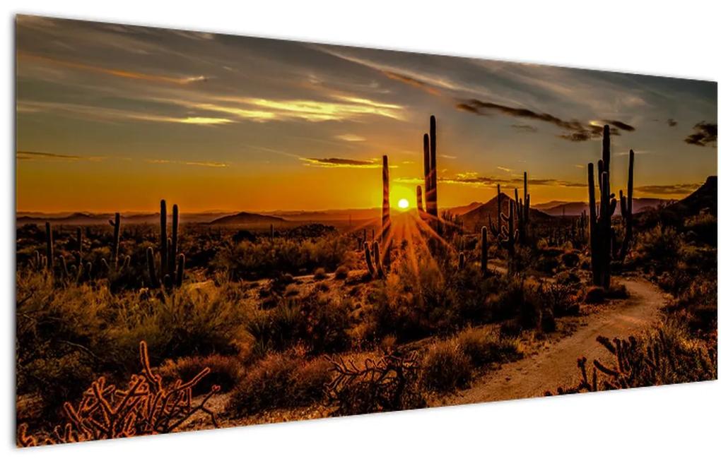 Tablou - Sfărșit de zi în deșertul Arizona (120x50 cm), în 40 de alte dimensiuni noi