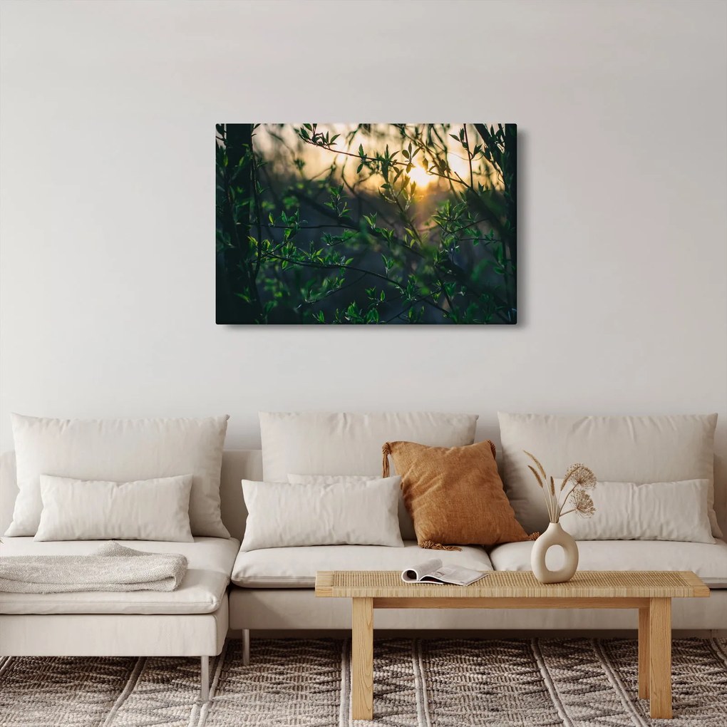Tablou - Soarele strălucind printre crengile copacilor (90x60 cm)