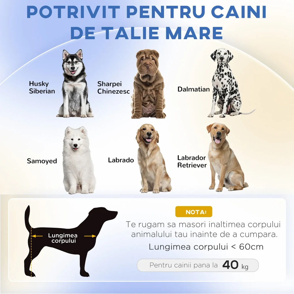 PawHut Canapea Elegantă pentru Animale de Companie, Pat Înălțat cu Pernă Moale, Cadru din Lemn, Verde, 98x67x25cm | Aosom Romania