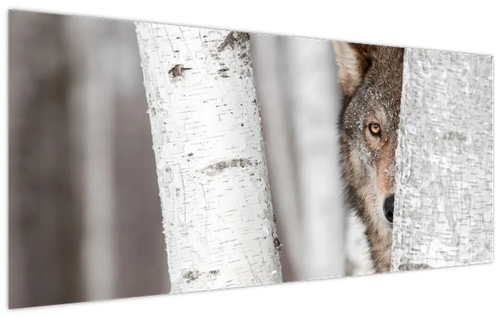 Tablou - Lup (120x50 cm)