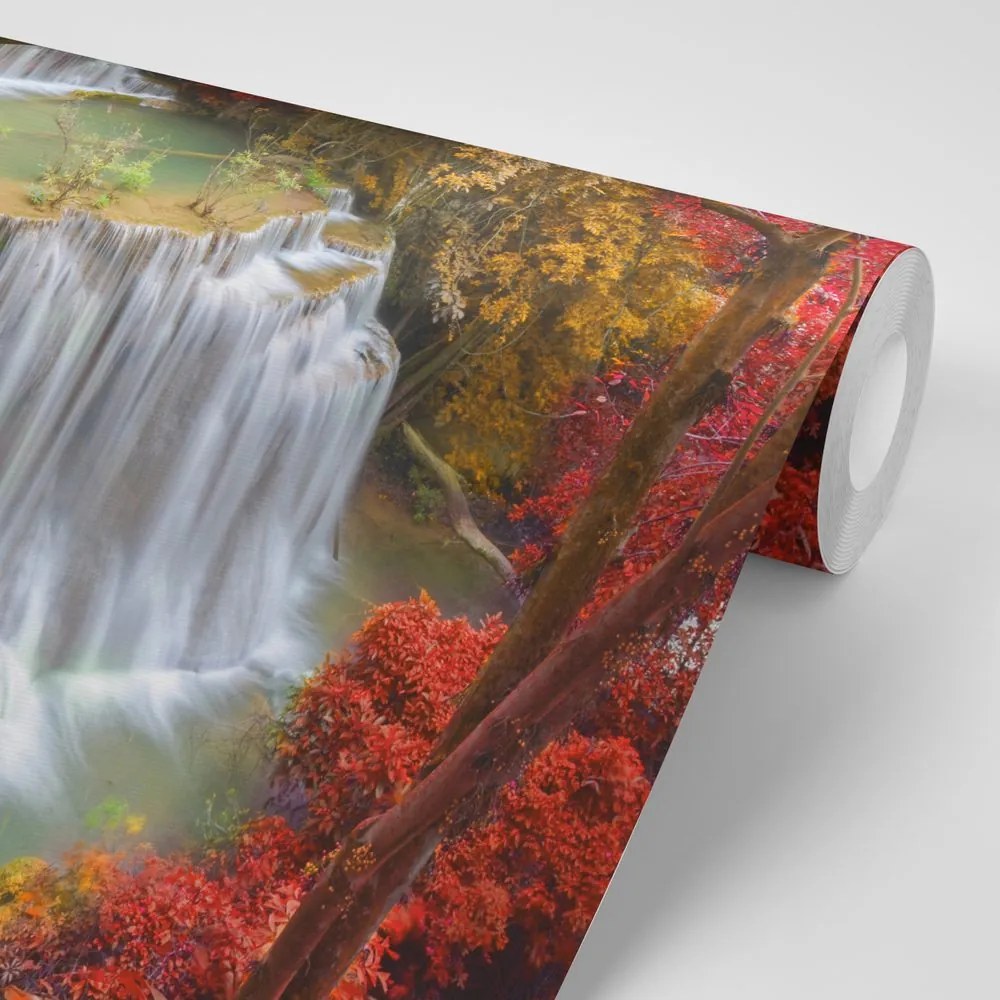 Fototapet cascada de pădure