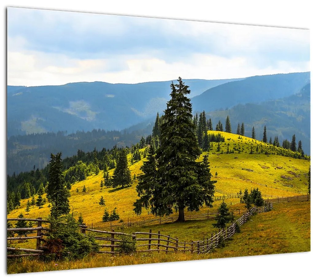 Tablou - Lunca de munte (70x50 cm)