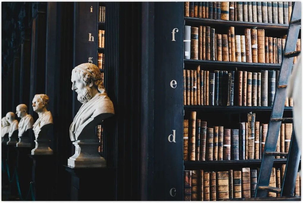 Tablou - La bibliotecă (90x60 cm)