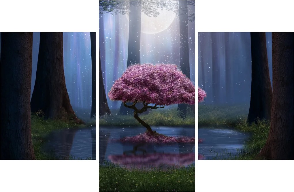 Tablou - Noapte magică (90x60 cm)