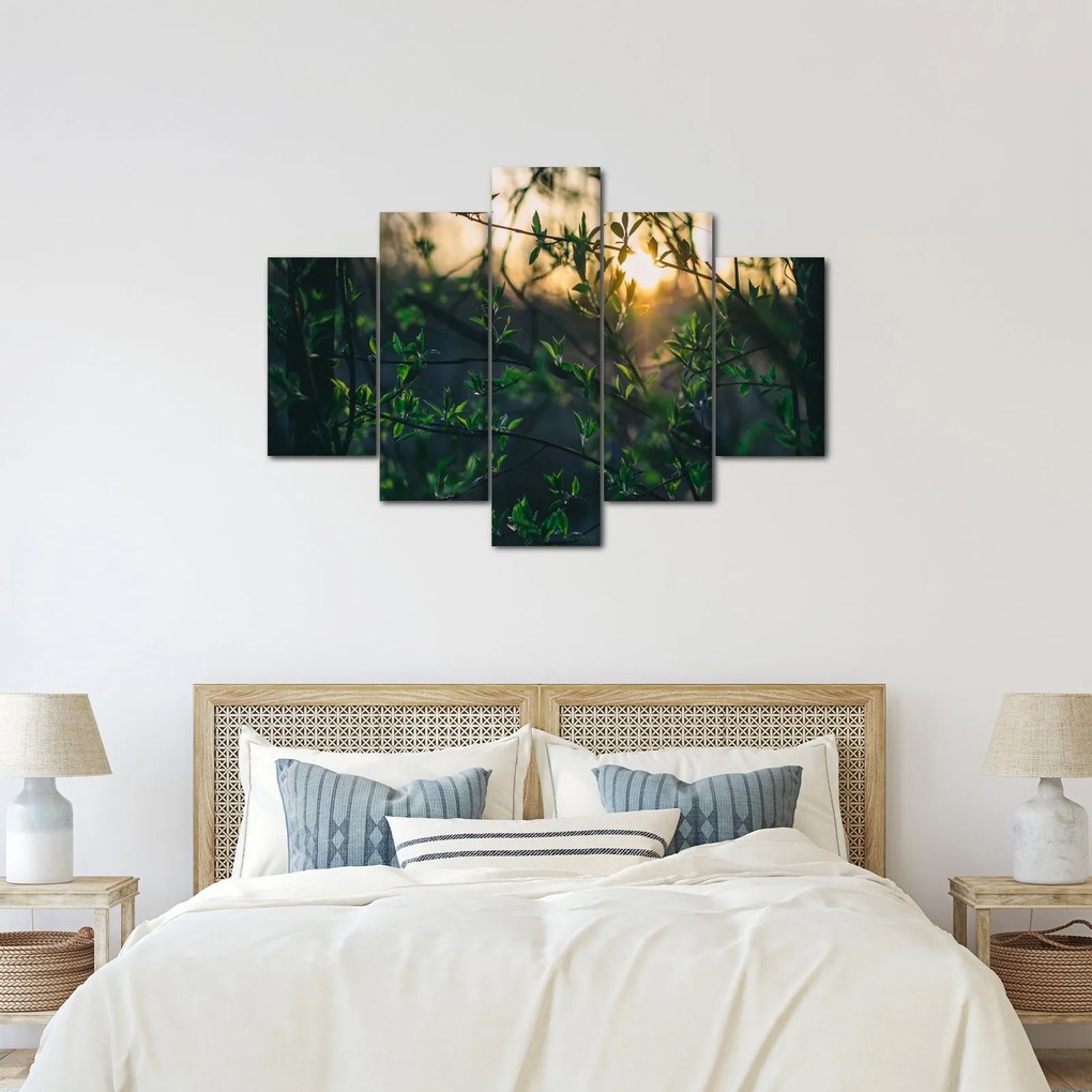 Tablou - Soarele strălucind printre crengile copacilor (150x105 cm)