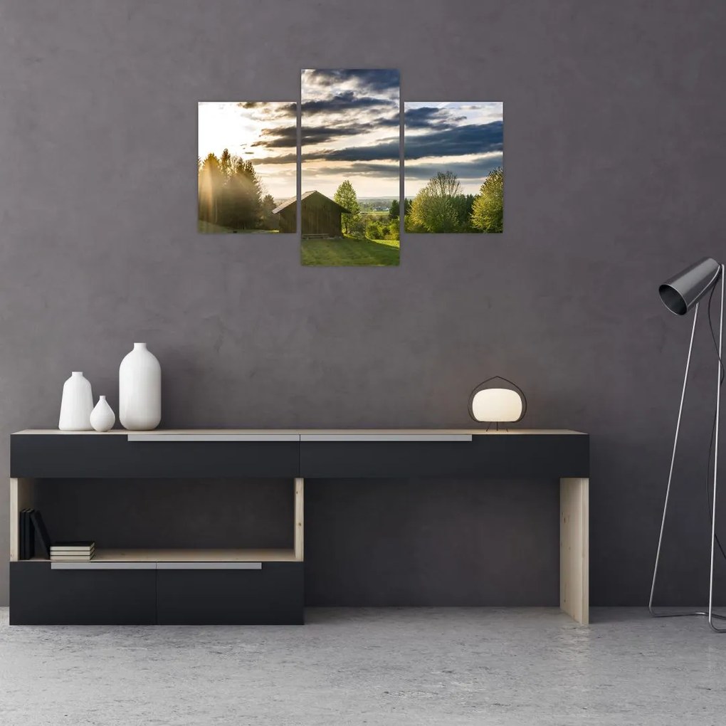 Tablou cu cabana pe luncă (90x60 cm)