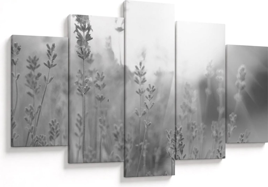 Tablou - Lavanda (150x105 cm)