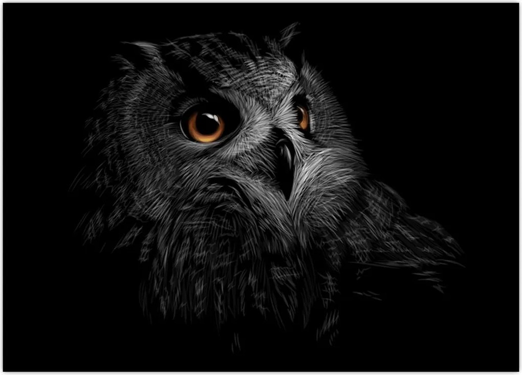 Tablou - Bufniță, ilustrație (70x50 cm)