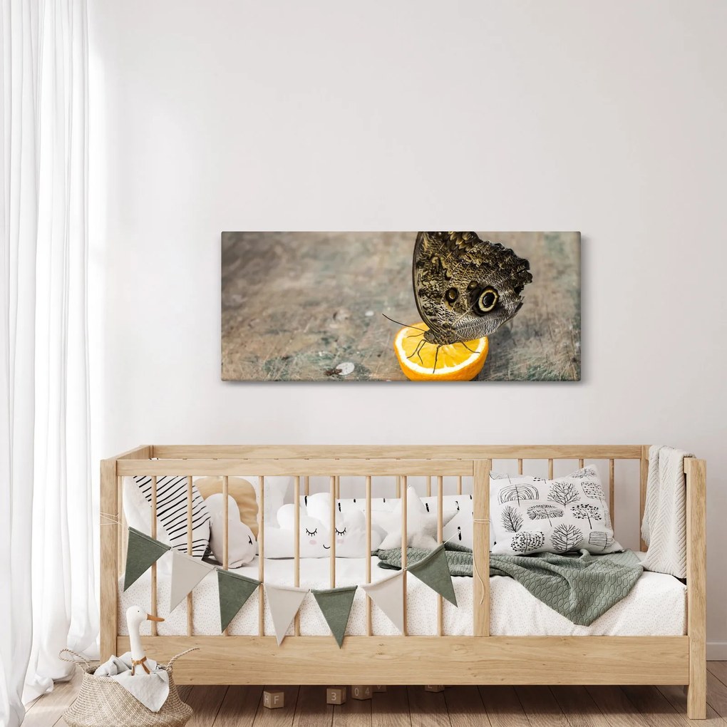 Tablou cu fluturi (120x50 cm)