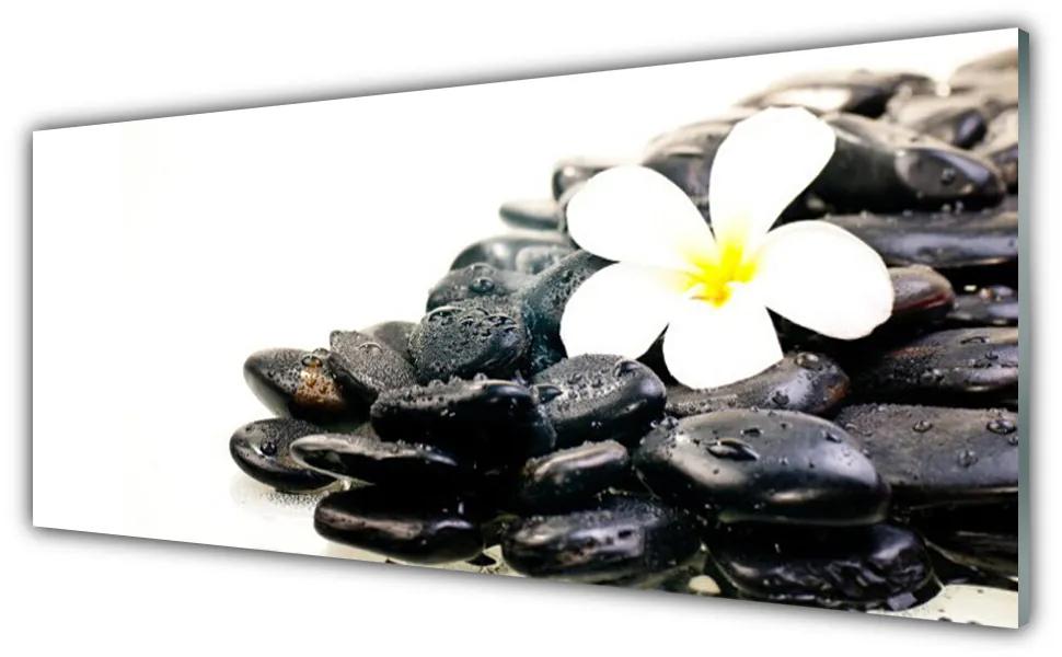 Tablou pe sticla Pietrele de flori Arta Alb Negru