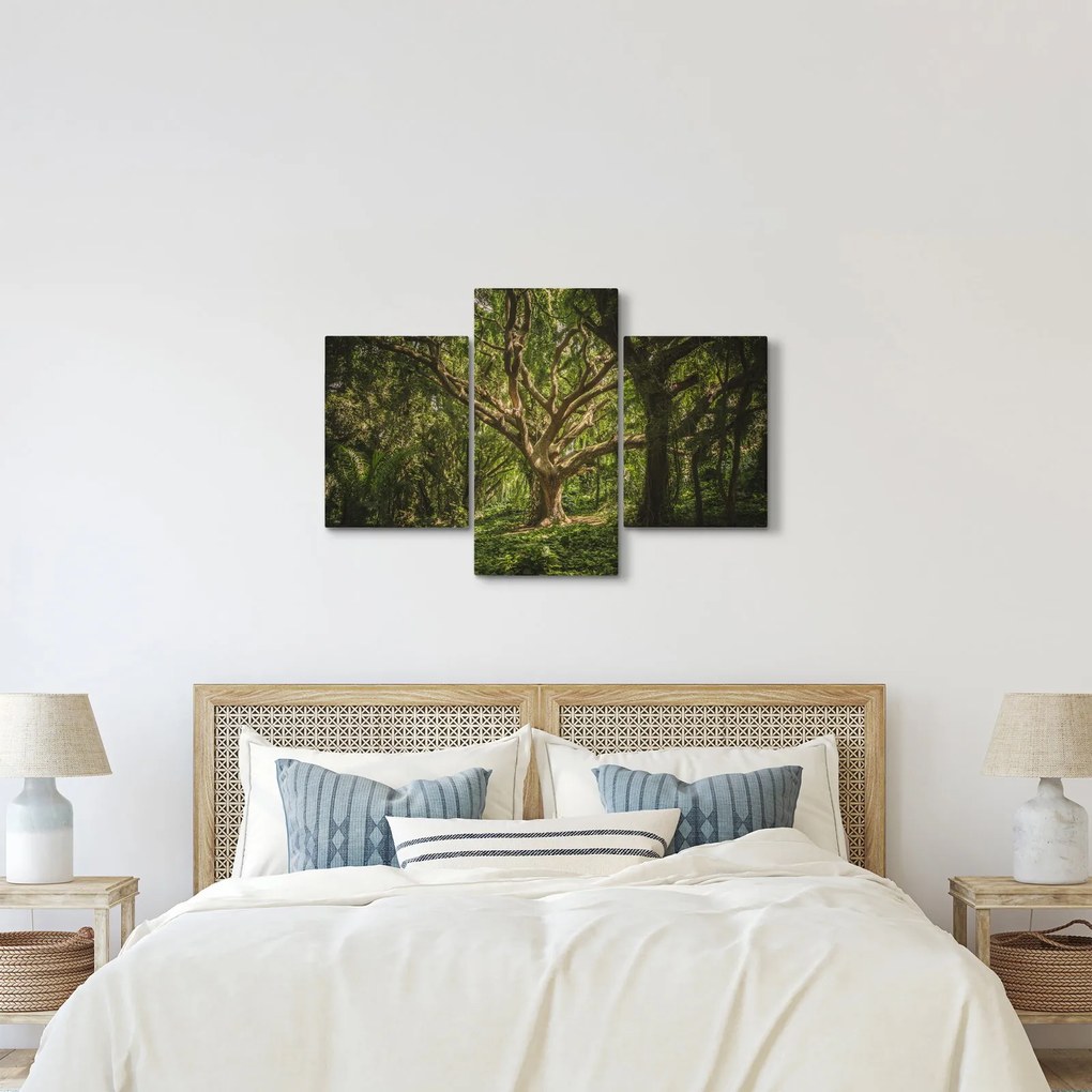 Tablou cu copaci (90x60 cm)