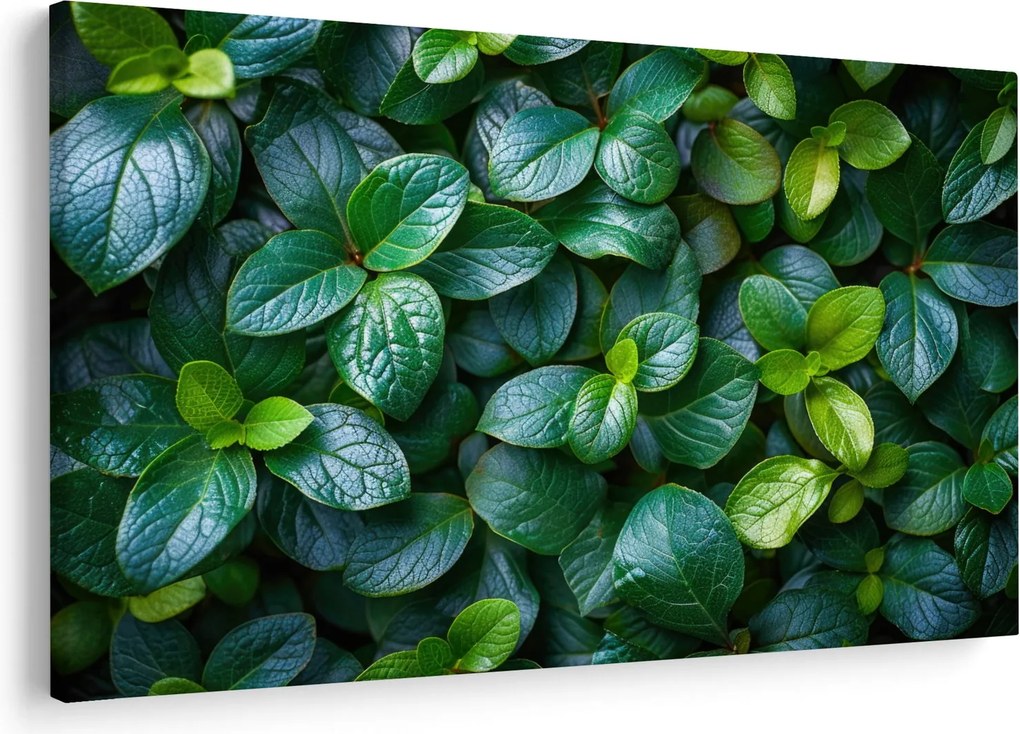 Tablou - Plante verzi (90x60 cm)
