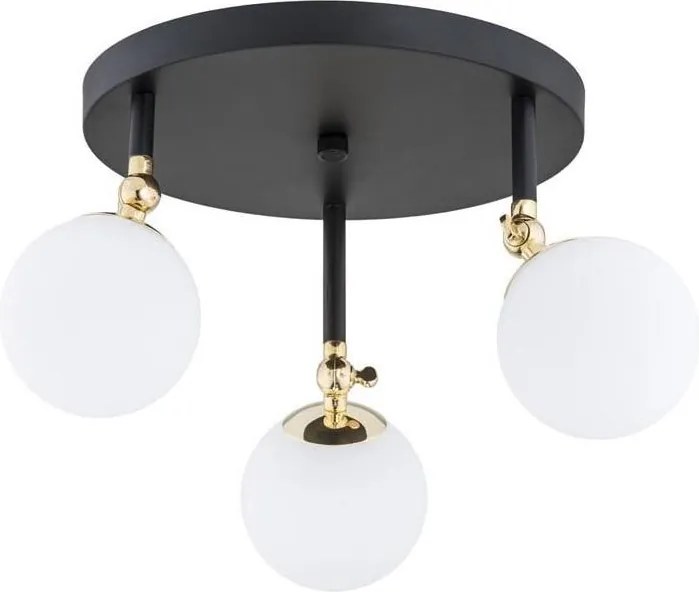 Argon 1436 - Lustru aplicat pentru baie LATINA 3xE14/40W/230V IP44