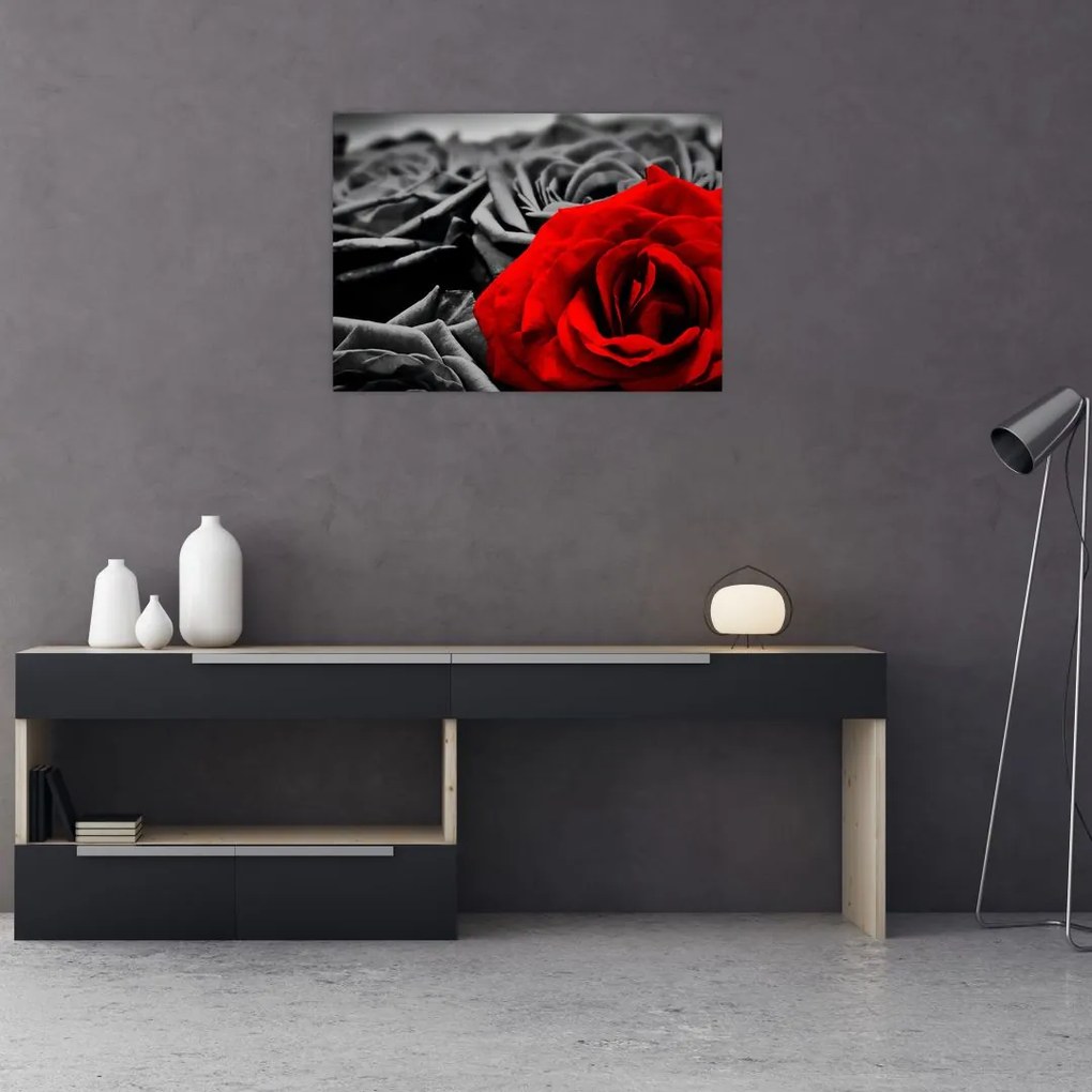 Tablou pe sticlă - Flori de trandafir (70x50 cm)