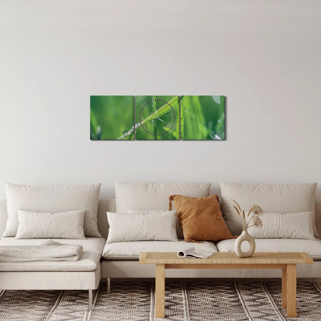 Tablou cu picături de rouă (cu ceas) (90x30 cm)