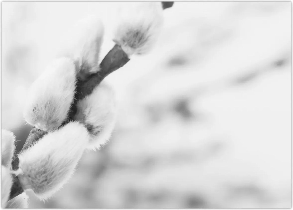 Tablou - Începutul primăverii (70x50 cm)