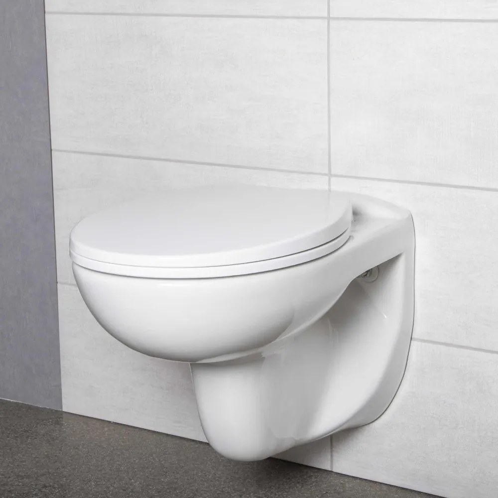 Set rezervor WC montat pe perete Doris Pacific WH