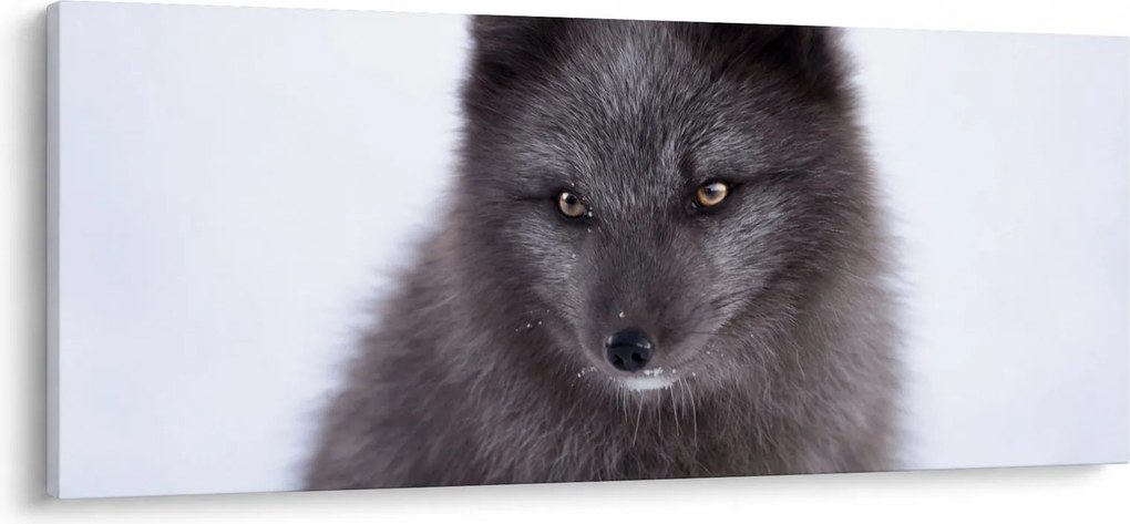 Tablou cu vulpe polară (120x50 cm)