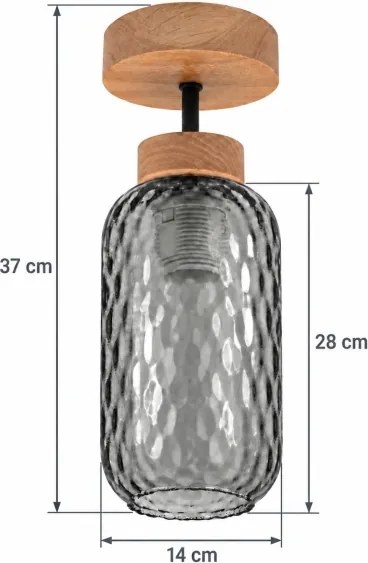 BRILAGI - LED lustru aplicat R GLASS 1xE27/60W/230V Ø 14 cm stejar/gri fumuriu