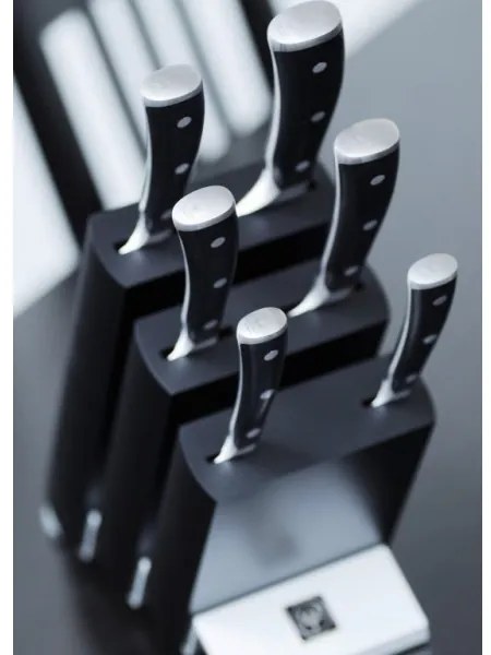 Wüsthof CLASSIC IKON set 7 cuțite bucătărie, suport, frasin/negru