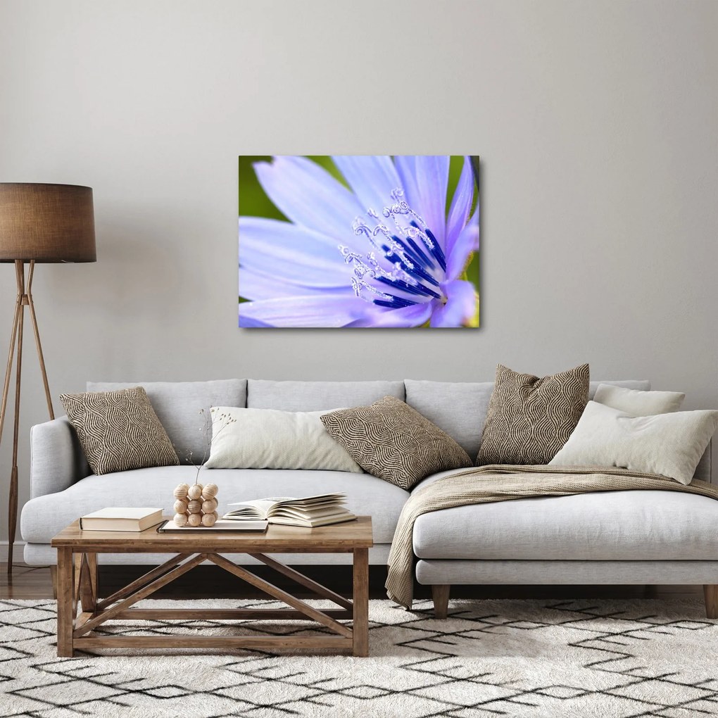 Tablou - Floare (70x50 cm)