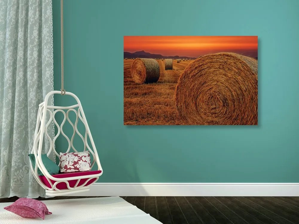 Tablou baloți de fân