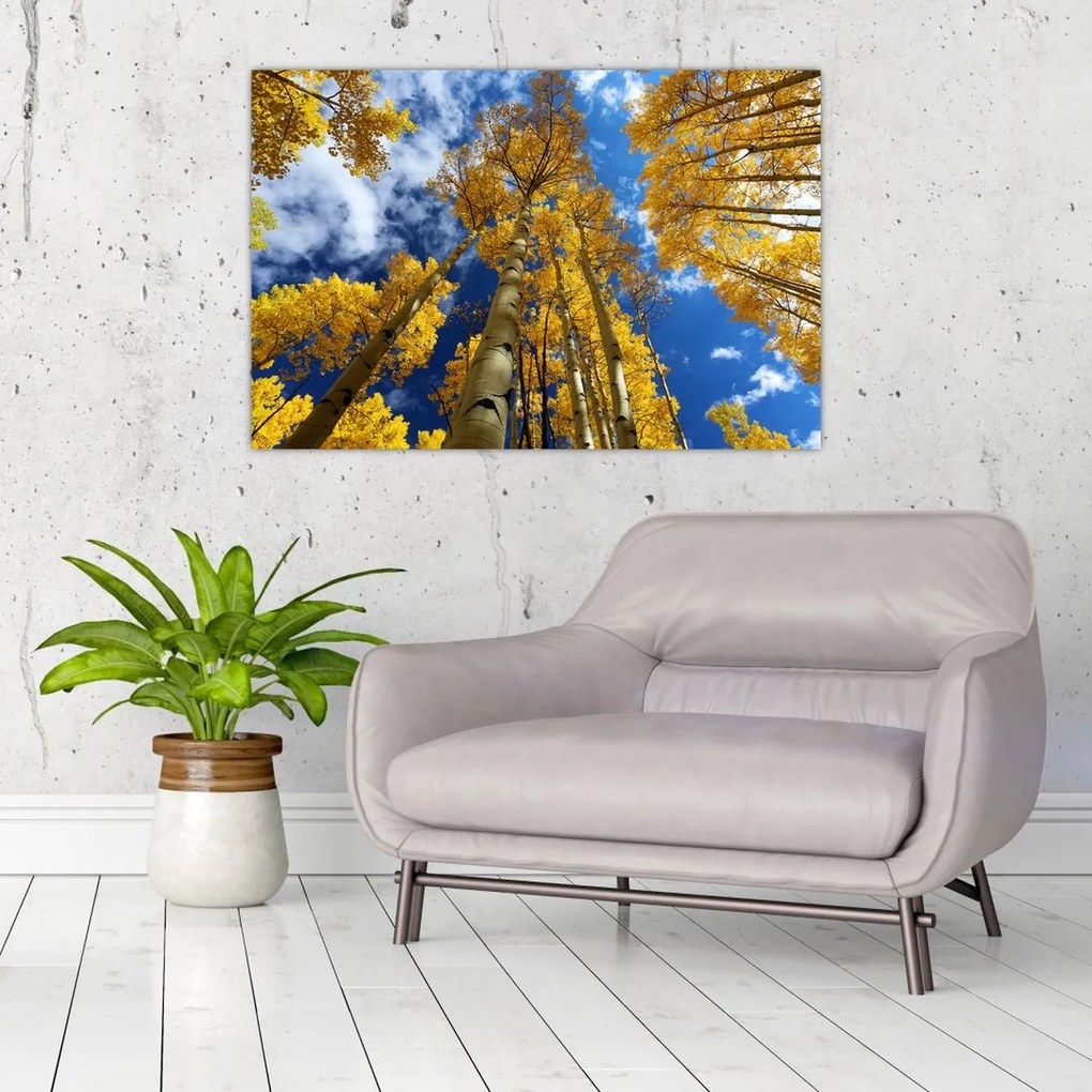 Tablou - Aspen (90x60 cm)