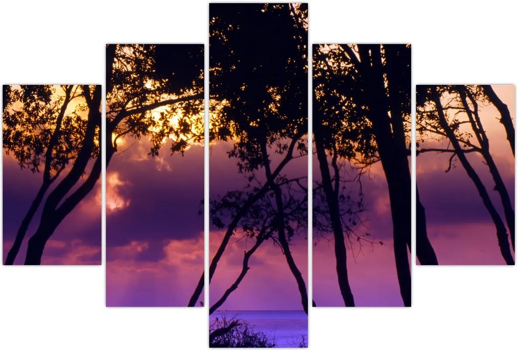 Tablou - Copaci la apus de soare (150x105 cm)