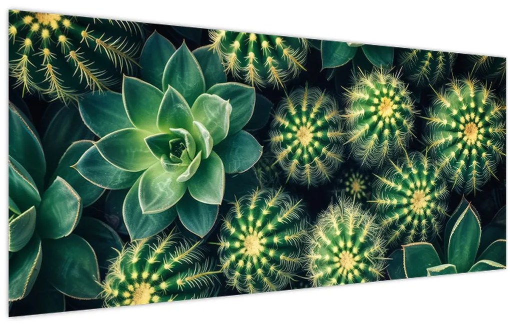 Tablou - Cactuși (120x50 cm)