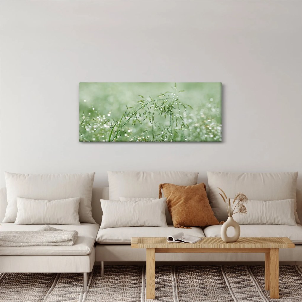 Tablou - Roua dimineții pe firele de iarbă (120x50 cm)