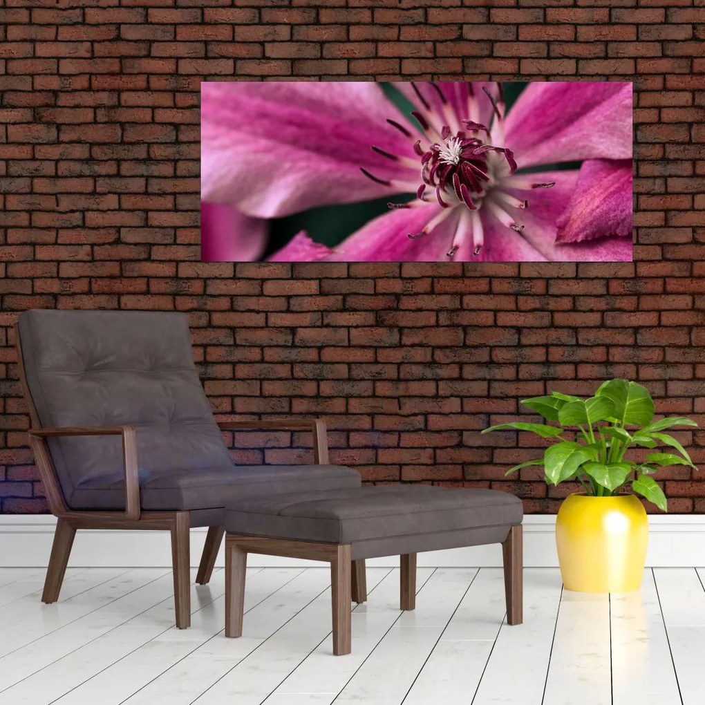 Tablou cu floarea roz de clematis (120x50 cm)