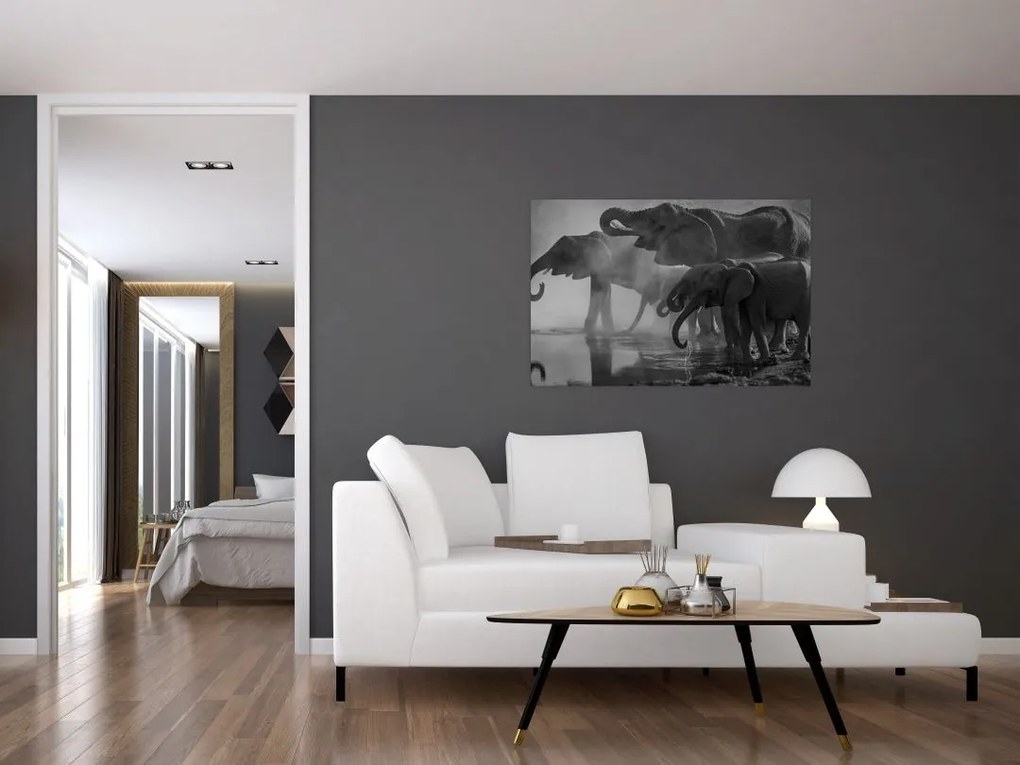 Tablou cu elefanți - albnegru (90x60 cm)