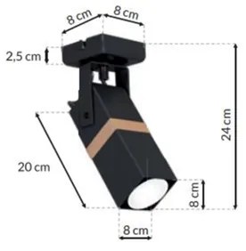 Lampă spot VIDAR 1xGU10/25W/230V negru
