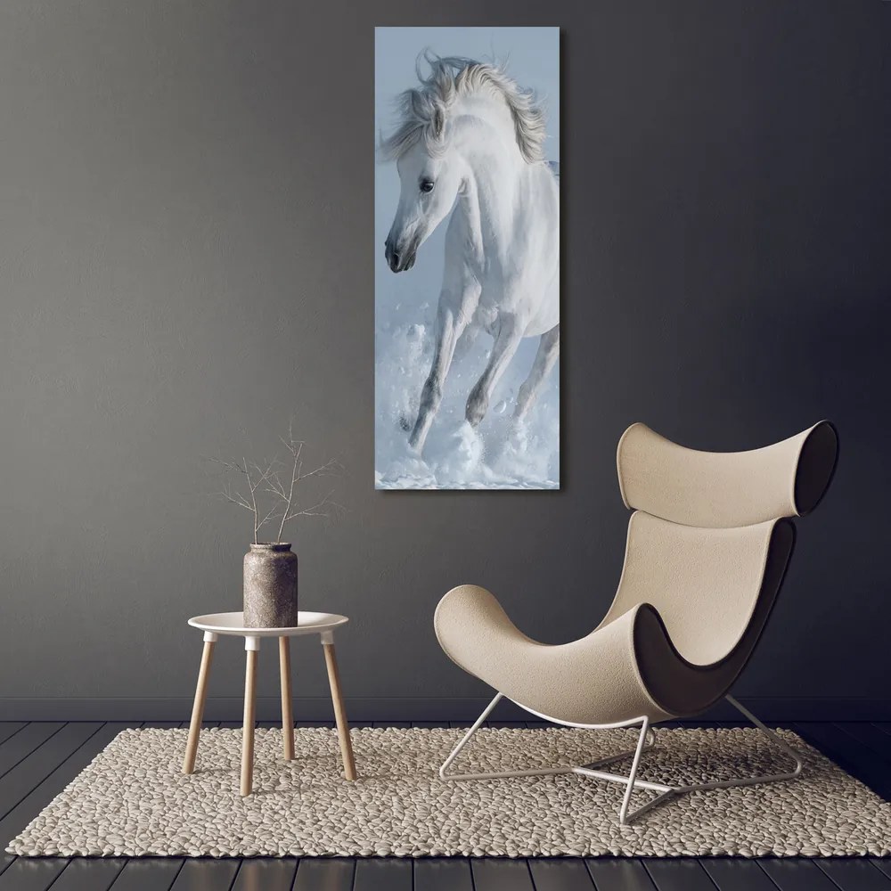 Tablou canvas Cal alb în galop