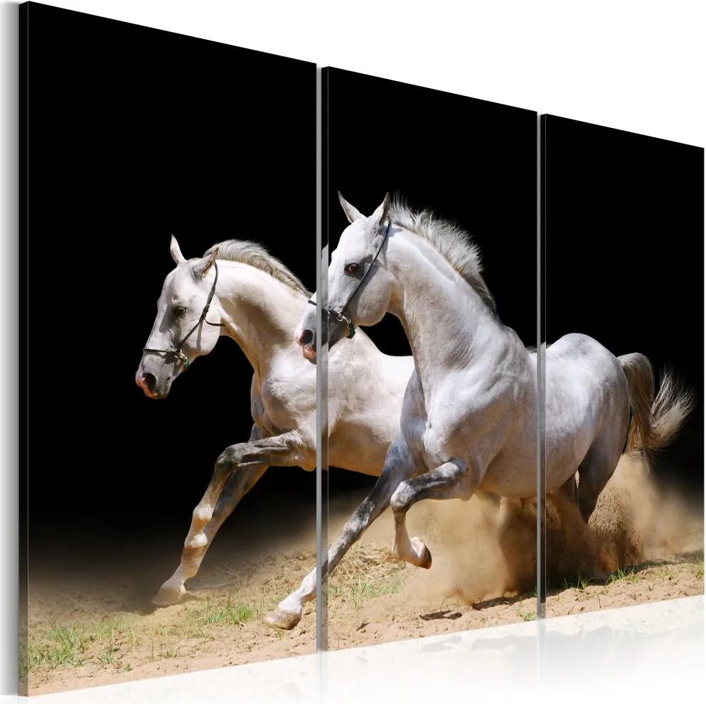 Tablou Bimago - Horses- Power And Velocity 90x60 cm