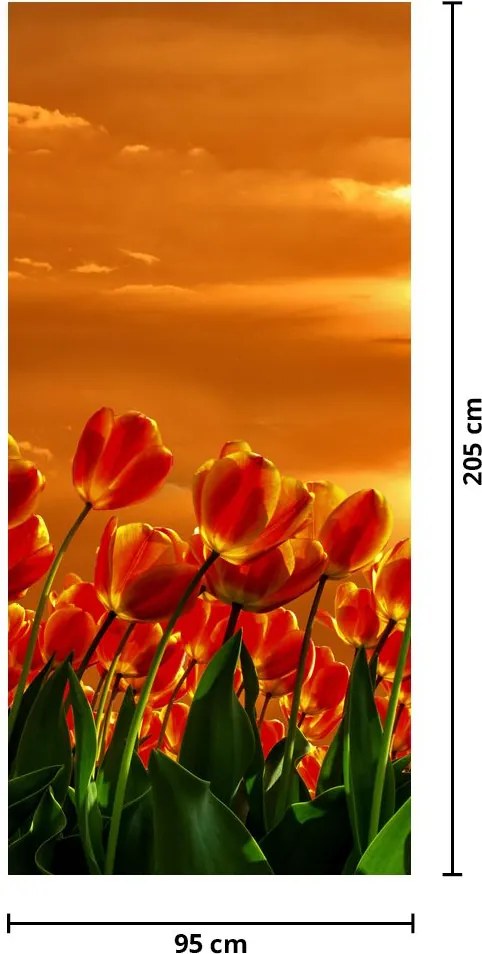 Fototapet pentru ușă - Câmp înflorit cu lalele (95x205cm)