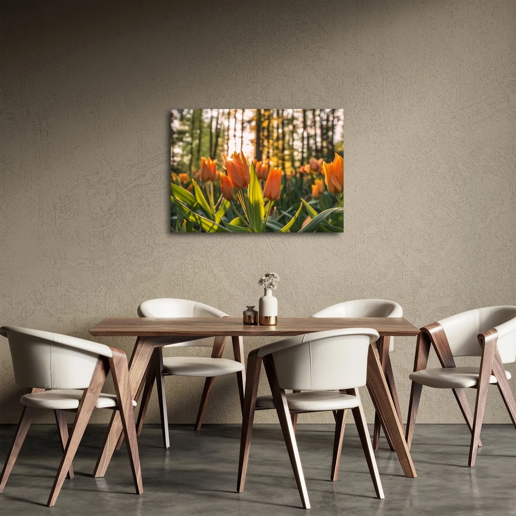 Tablou - florile lalelelor (70x50 cm)