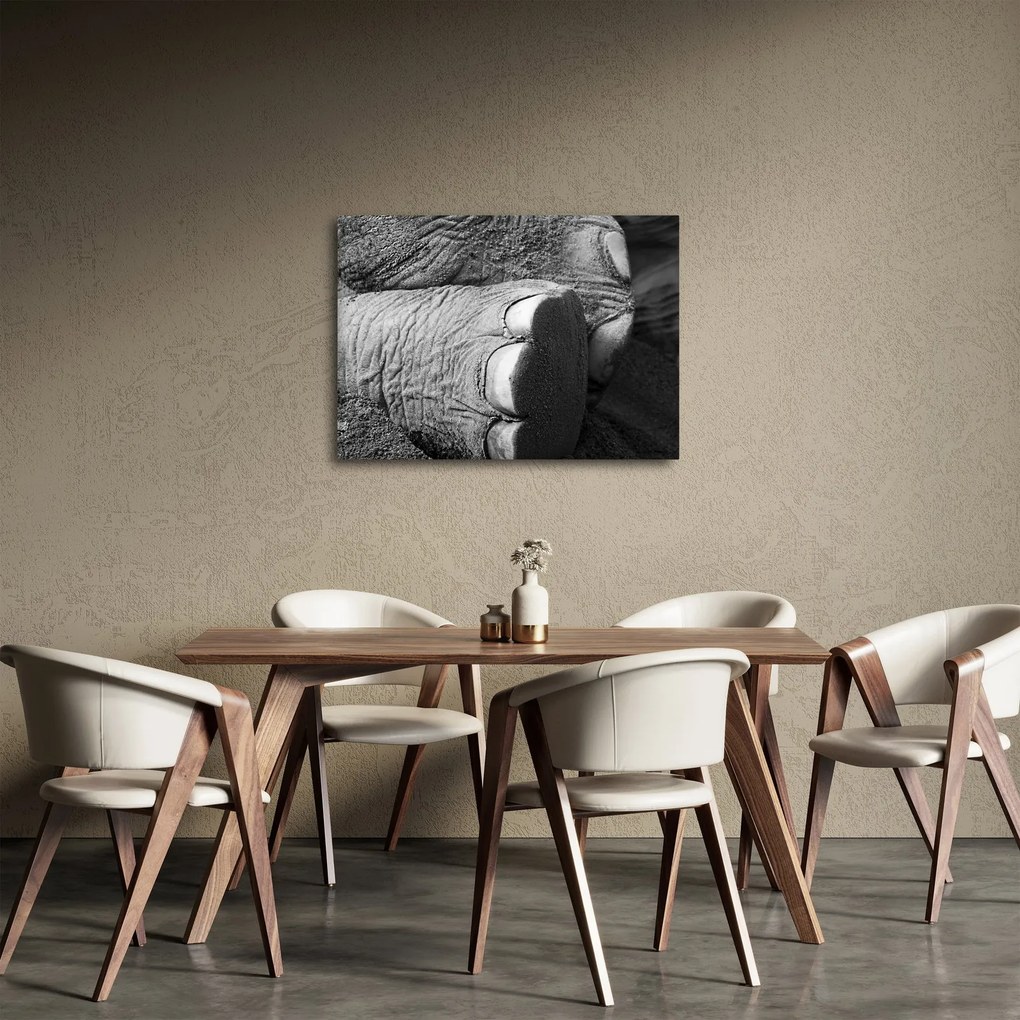 Tablou - Picior de elefant (70x50 cm)