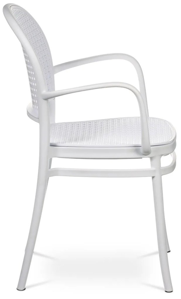 Set de scaune de sufragerie CT-746 WT, 4 buc