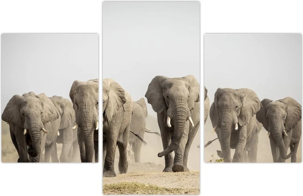 Tablou - Turmă de elefanți (90x60 cm)