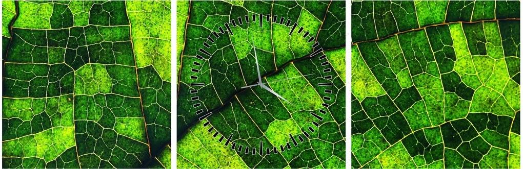 Tablou - Detaliu frunze (cu ceas) (90x30 cm)